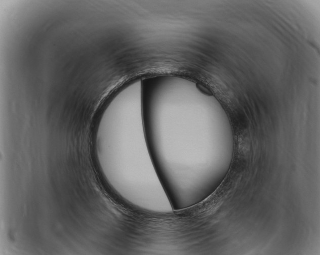 X0000097510304200802220911