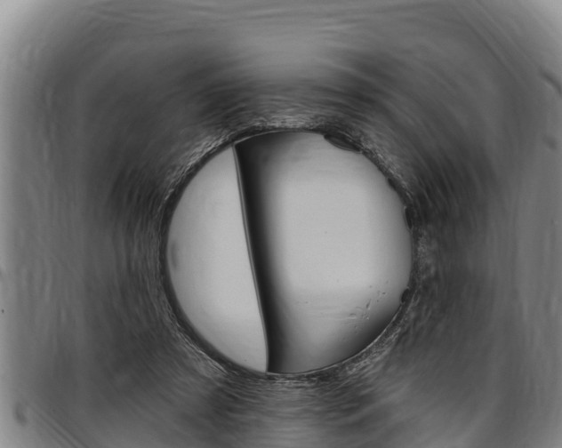 X0000097510305200802220911