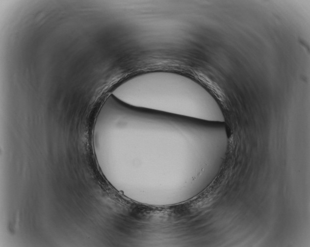 X0000097510306200802220911