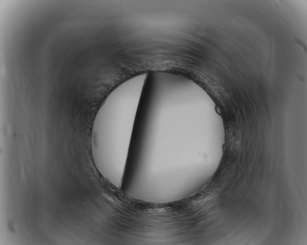 X0000097510307200802220911