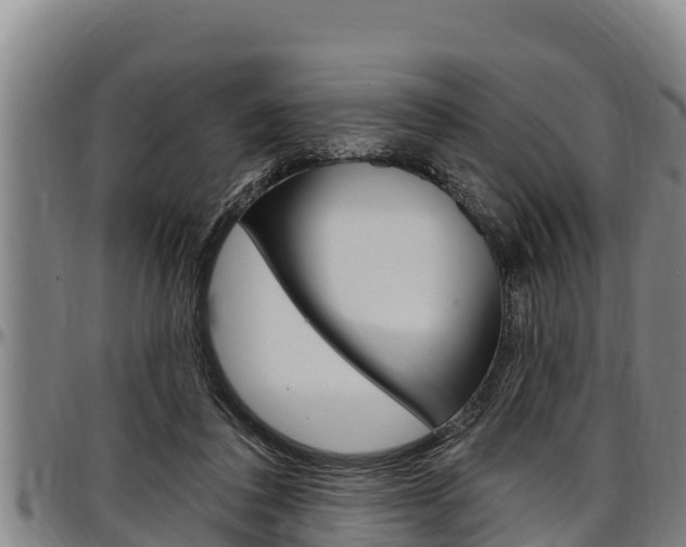 X0000097510308200802220911