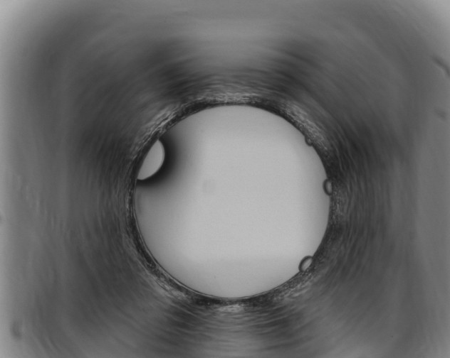 X0000097510309200802220911