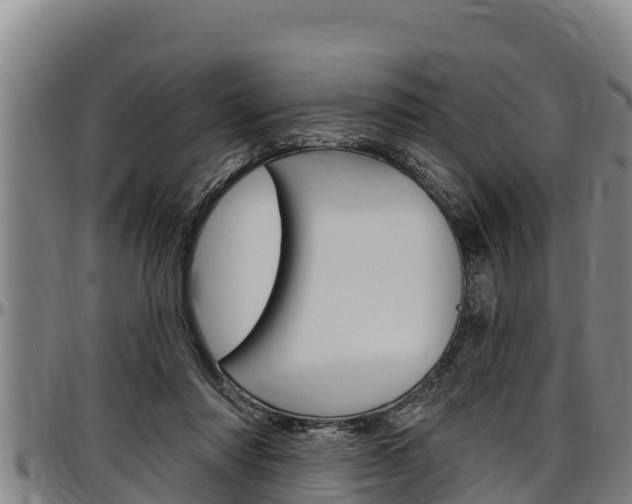 X0000097510310200802220911