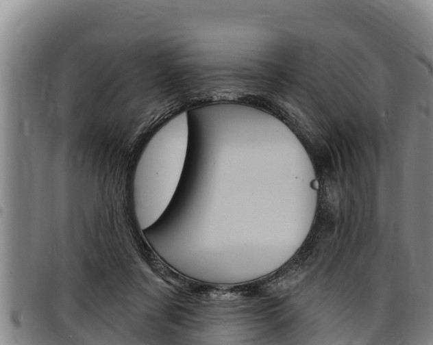 X0000097510311200802220911