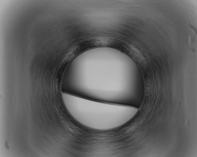X0000097510312200802220911