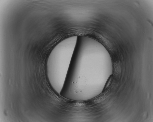 X0000097510313200802220911