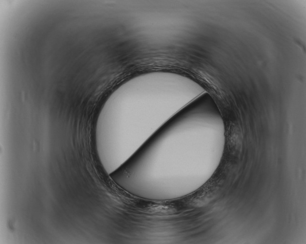 X0000097510315200802220911