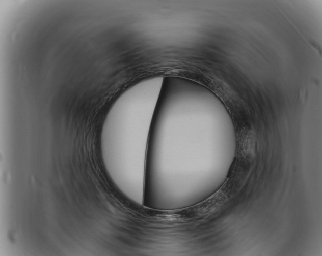 X0000097510316200802220911