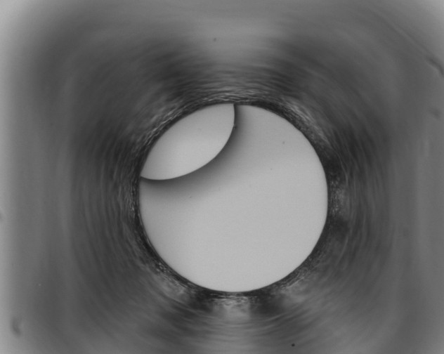 X0000097510317200802220911