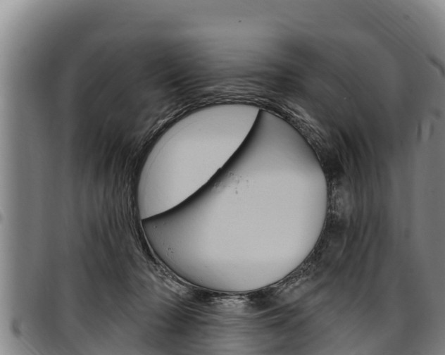 X0000097510318200802220911