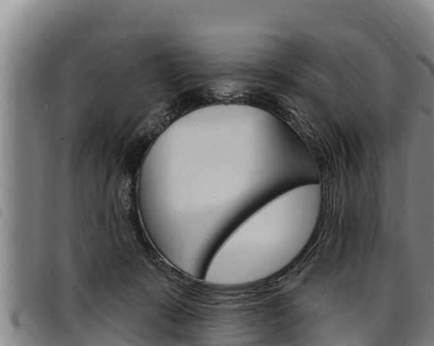 X0000097510319200802220911