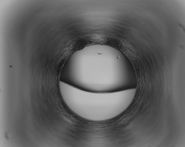X0000097510320200802220911