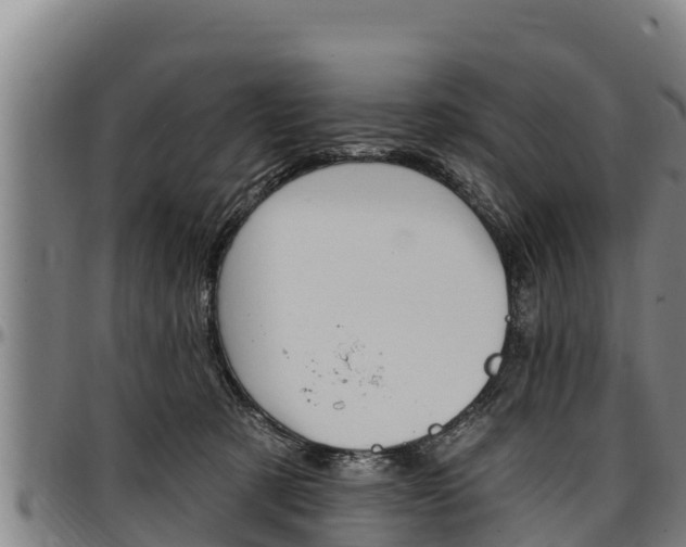 X0000097510321200802220911