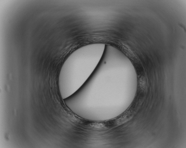 X0000097510322200802220911