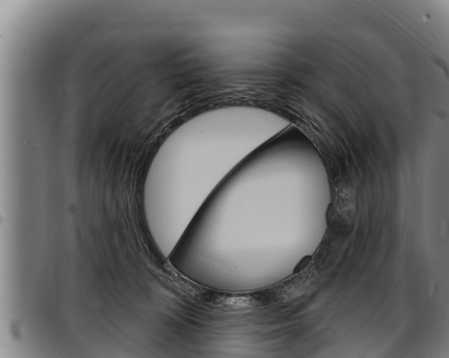 X0000097510324200802220911