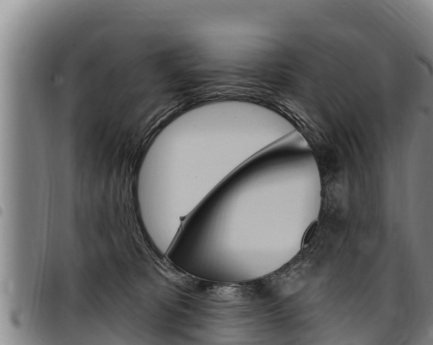 X0000097510325200802220911