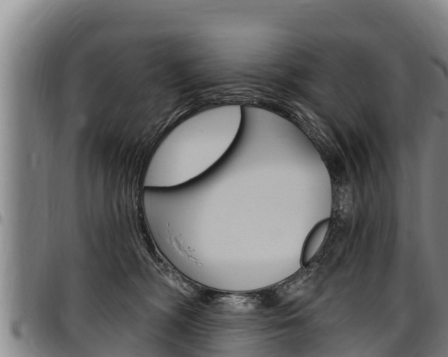 X0000097510326200802220911