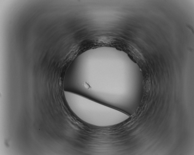X0000097510328200802220911
