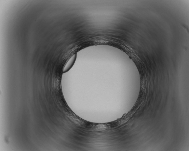 X0000097510330200802220911