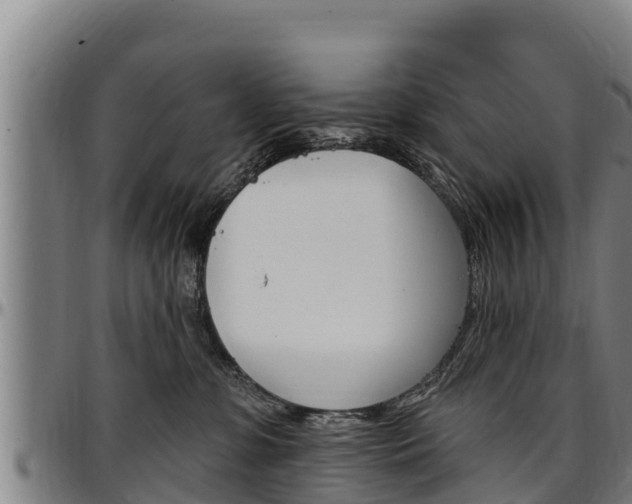 X0000097510331200802220911