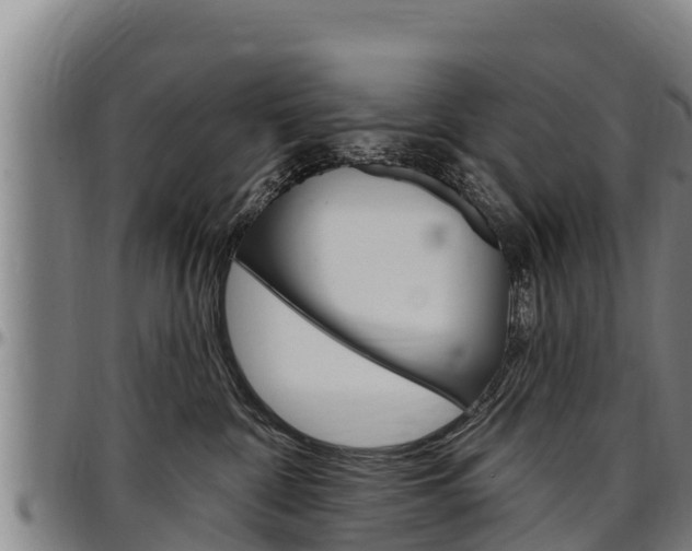 X0000097510332200802220911