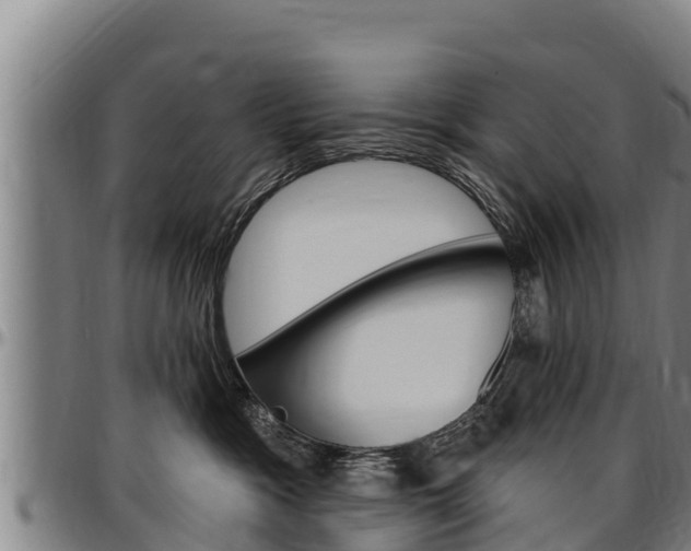 X0000097510333200802220911