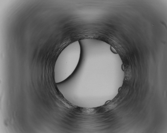 X0000097510334200802220911