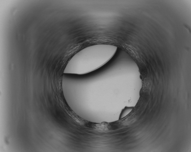 X0000097510335200802220911