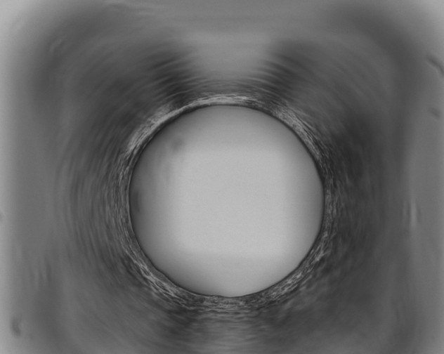 X0000097510337200802220910