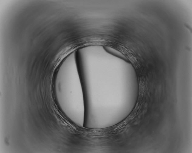 X0000097510338200802220910