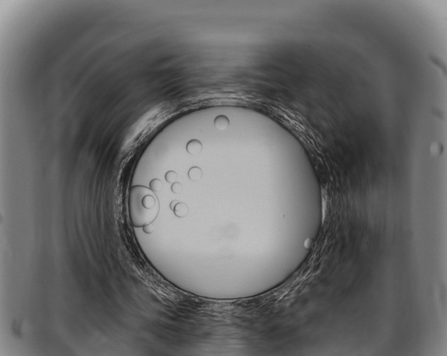 X0000097510339200802220910