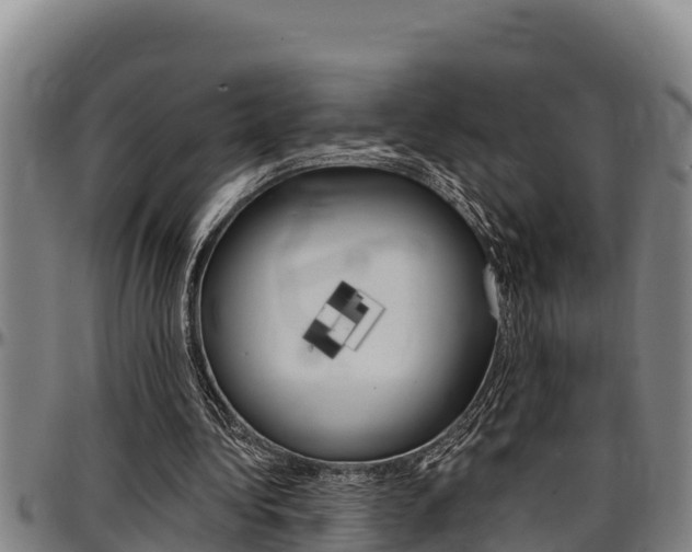 X0000097510340200802220910