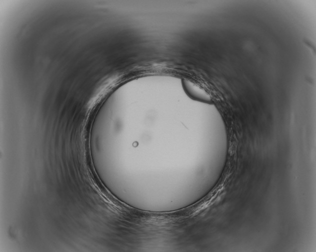 X0000097510341200802220910