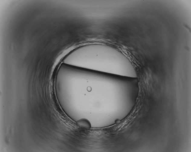 X0000097510342200802220910