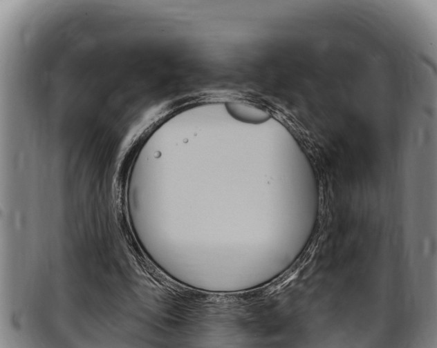 X0000097510343200802220910