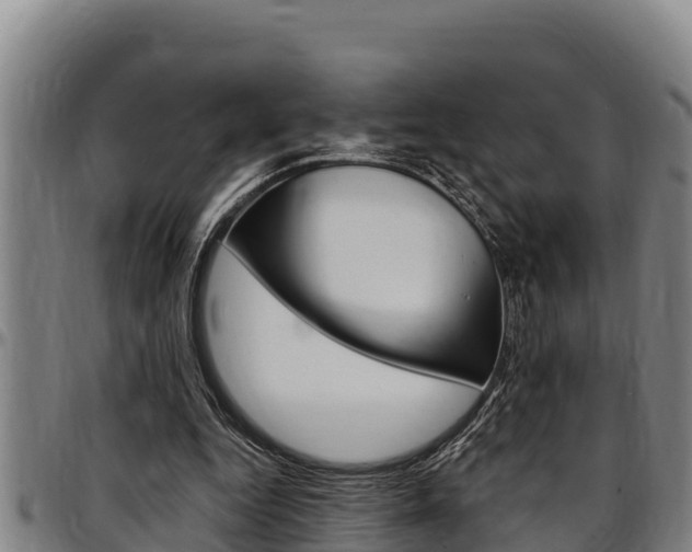 X0000097510344200802220910