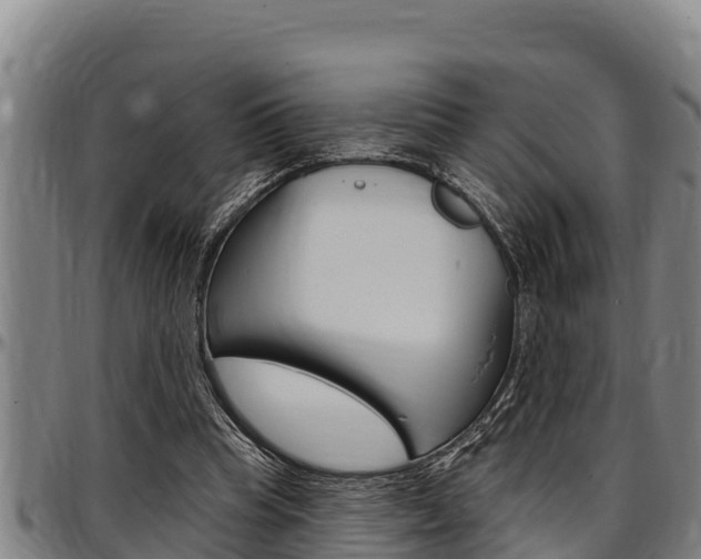 X0000097510345200802220910