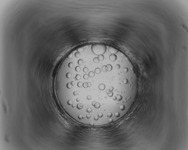 X0000097510346200802220910