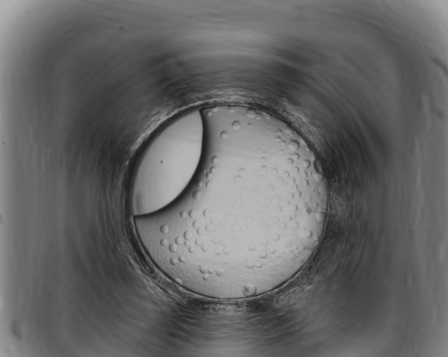X0000097510347200802220910