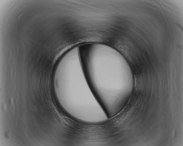 X0000097510348200802220910