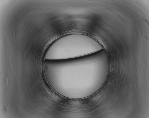 X0000097510349200802220910