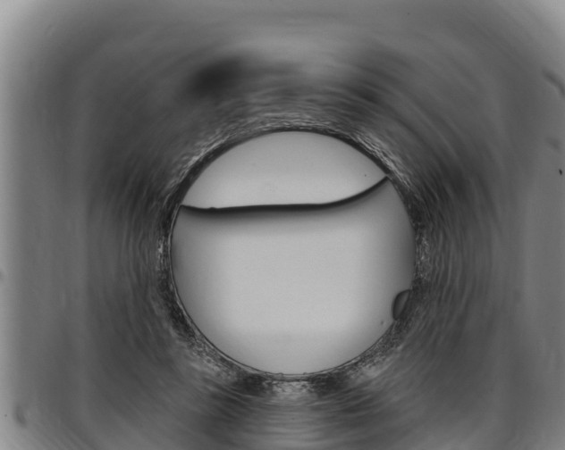 X0000097510355200802220910