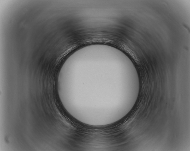 X0000097510356200802220910