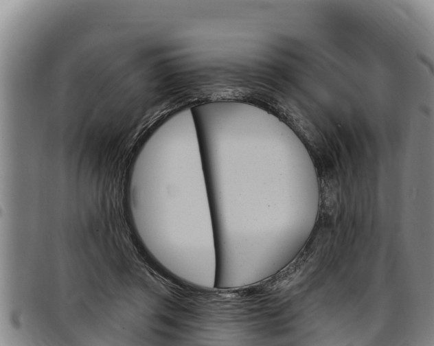 X0000097510357200802220910