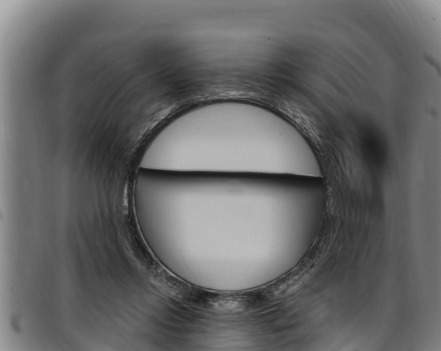 X0000097510358200802220910