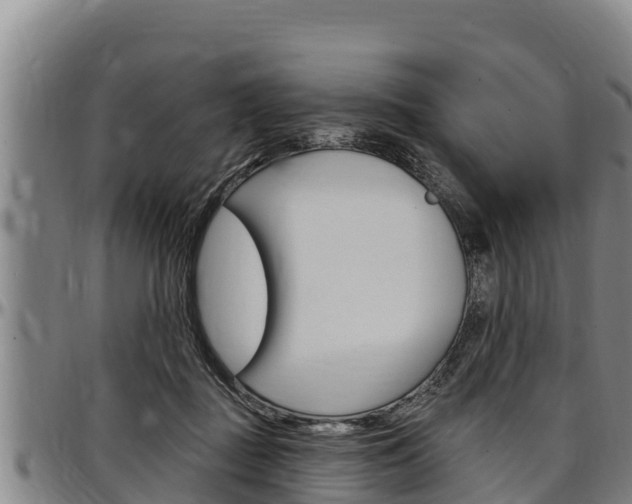 X0000097510363200802220910