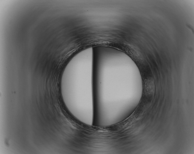 X0000097510364200802220910