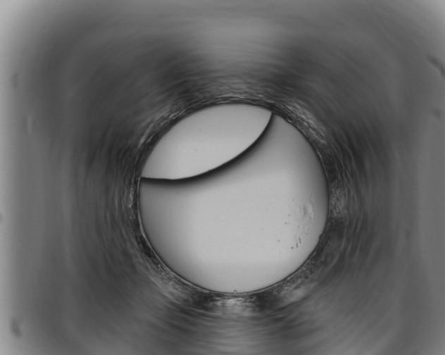 X0000097510365200802220910