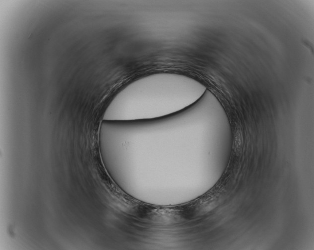 X0000097510367200802220910