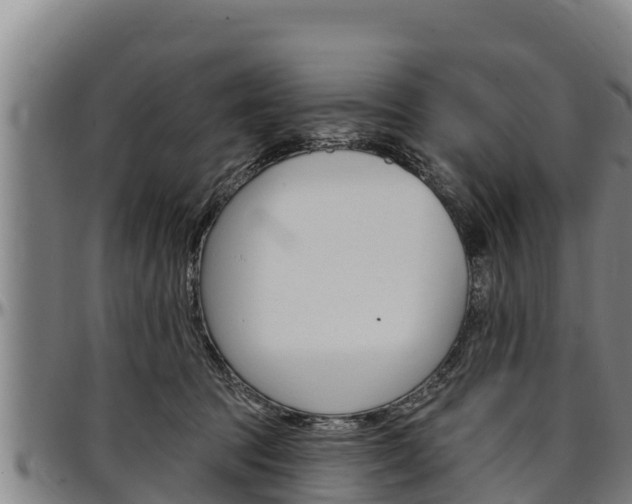 X0000097510369200802220910
